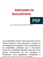 Metabolismo de Nucleotidos.10