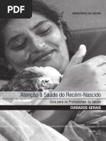 Atencao Saude Recem Nascido Profissionais v1
