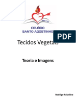 Tecidos Vegetais