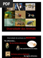 Diversidade Dos Animais