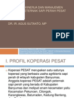 Penguatan Kinerja Dan Manajemen Koperasi Peternak Sapi Perah Pesar