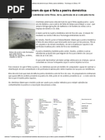 Cientistas Descobrem Do Que é Feita a Poeira Doméstica - Tecnologia e Ciência - R7