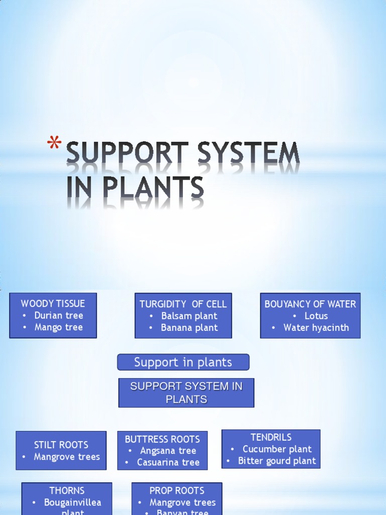 Support System in Plants