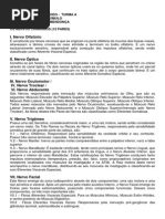 Trabalho Anatomia Julio