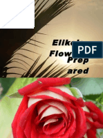 Eliko's Flowers Prep Ared by Ceni Ka July 2004