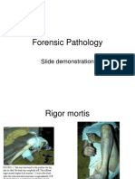 Forensic Pathology Slide Demo 2010