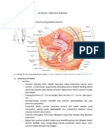 Histology Genitalia Feminina