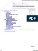 CDNA Cloning