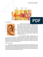 Anatomi telinga