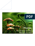plants flipchart