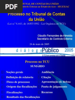 10 Processo No Tcu