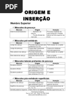 Origem e Insercao