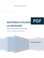 Bacterias Utilizadas en La Geología