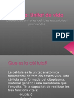 Diferències de les cèl·lules procariotes i eucariotes (Sara i Maria