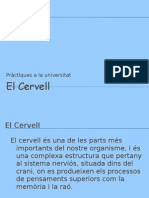 visita a la faciltat_ El cervell