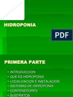 HIDROPONIA 1