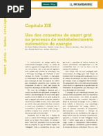 Ed77 Fasc Smart Grid Cap13