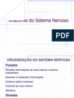 6 - Anatomia Do Sistema Nervoso