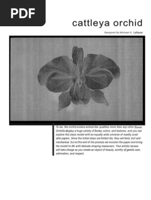 Orquídea - Cattleya Orchid - Michael G. La Fosse