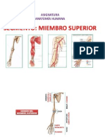 2DA CLASE(Curso de Anatomia)