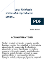 Anatomia sistemului reproductiv uman  P.Irina [восстановлен].pptx