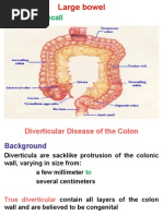 Diverticular Disease of The Colon