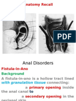 Anal Fistula2