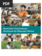 Diretrizes Curiculares Nacionais 2013-3