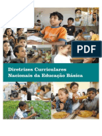 Diretrizes Curiculares Nacionais 2013-3