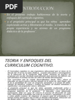 Enfoques Del Curriculum Cognitivo