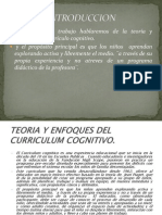 Enfoques Del Curriculum Cognitivo