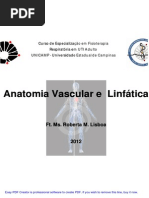 Anatomia Vascular e Linfatica [Modo de Compatibilidade]