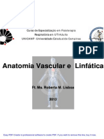 Anatomia Vascular e Linfatica (Modo de Compatibilidade)