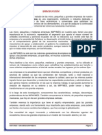 Mipymes y grandes empresas: clasificación y características