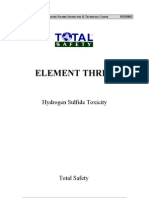 Element Three: Hydrogen Sulfide Toxicity