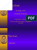 The Liver: Xu Bing, M.D. Associate Professor