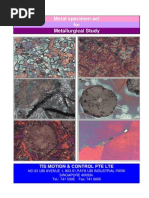 Download Microstructure of Metal Materials by EddyWang SN234728998 doc pdf