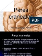 Parescraneales 120925195627 Phpapp02