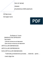 Types of Bone Divided in To Four Classes: 1) Long Bone:dyaphysis (Body, Shaft), Epiphysis 2) Short Bone 3) Flate Bone 4) Irreglar Bone