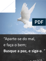 Paz- Projeto Viver-Versão de Apresentação