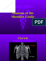 Anatomy of The Shoulder Girdle