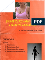 Pemeriksaan Fisik Tu Mamae