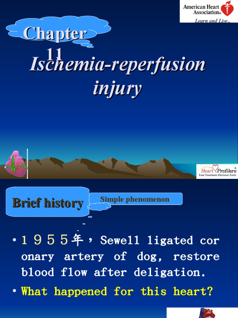 8 IRI 0604 Fix6 - 4 - 06 | PDF | Ischemia | Radical (Chemistry)