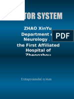Motor System: Zhao Xinyu Department of Neurology The First Affiliated Hospital of Zhengzhou University