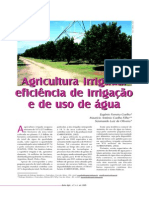Agricultura Irrigada Eficiencia de Irrigacao e de Uso de Agua_2005 (1)