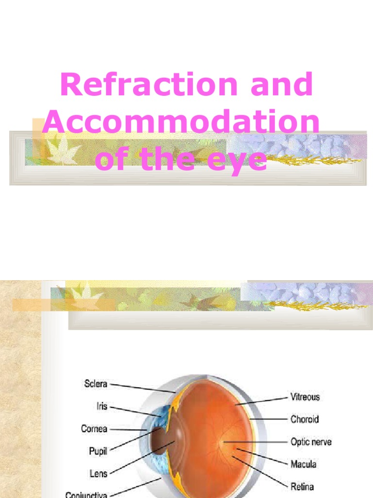 Understanding Refractive Errors in Eyes | PDF | Human Eye | Glasses