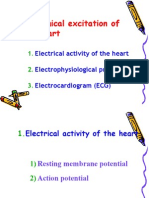 Rhythmical Excitation of The Heart