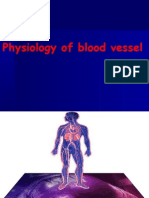 Physiology of Blood Vessel