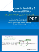 Electrophoretic Mobility Shift Assay (EMSA) AMS 501795