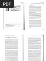 Manual de Diagnóstico e Mudança Organizacional - Cap. 1 e 2